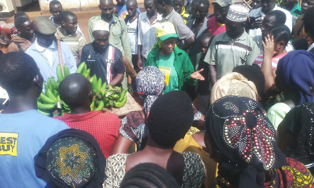 Prof Anna Tibaijuka5